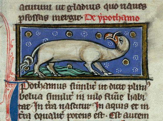 Nomenclature des animaux. Contre Descartes. Les animaux sociaux.